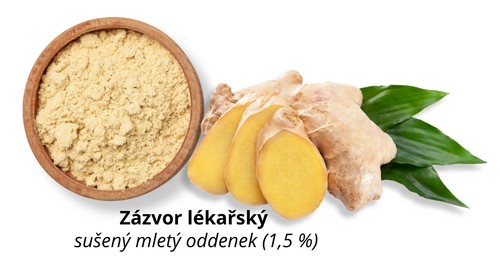 Zázvor lékařský